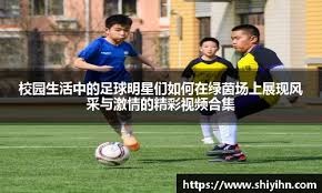 详解棒球规则中的“死球转活球”判定逻辑